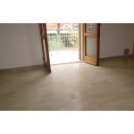 A1 YELLOW Poliravimo pudra - natūralus efektas (geltona) - Image 6